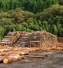 Embalaje a la medida: cómo reducir daños y costos en la cadena logística